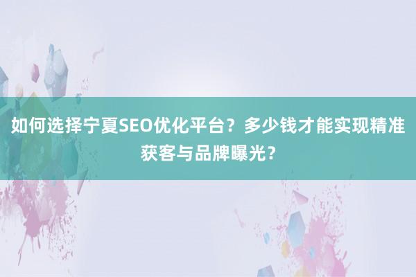 如何选择宁夏SEO优化平台？多少钱才能实现精准获客与品牌曝光？